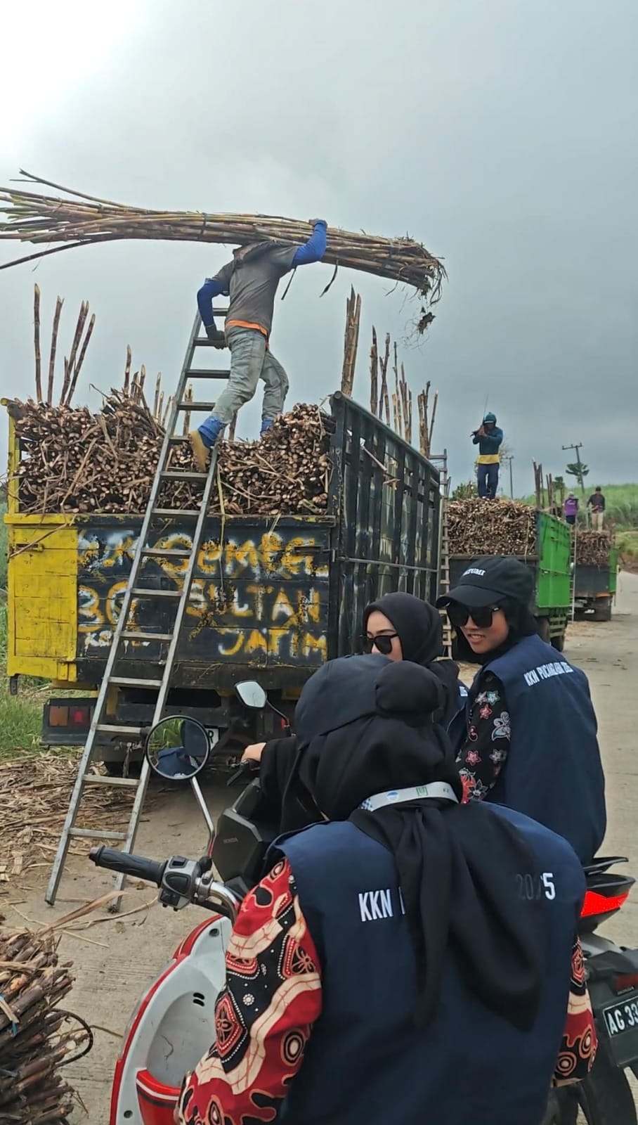 Pertanian dan Perkebunan